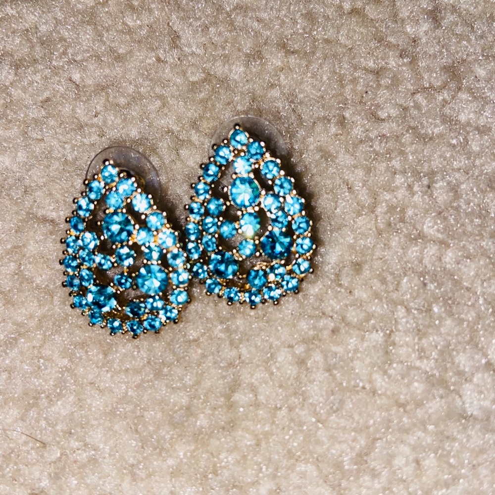Dry Goods: Earrings
